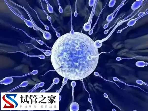 精子活力低是不是只能做试管婴儿(图1)