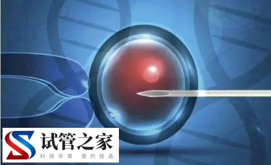 受精卵的着床分三步,需要几天因人而异!(图1) 受精卵的着床分三步,需要几天因人而异!(图1)