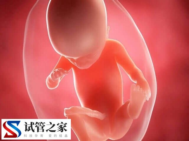 哪些人要做胚胎植入前遗传学检测(图1)