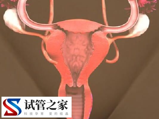 女生子宫内膜薄是什么原因(图1)