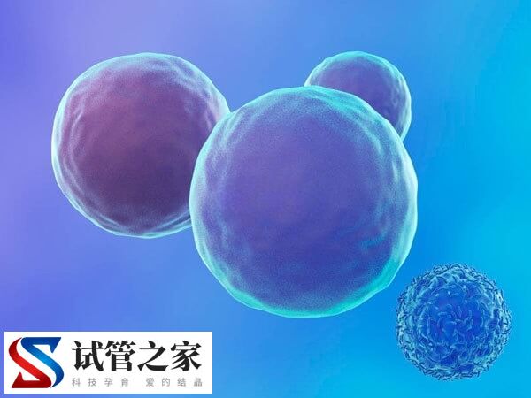 为什么养囊有的5天有的6天(图1)