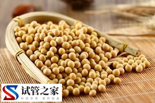 有促排卵作用的食物有哪些(图1)