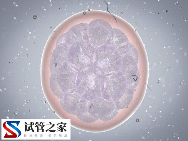 取卵后肚子鼓胀发硬多久消失(图1)