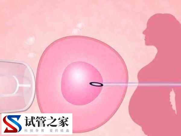 最常见的“大促”—试管长方案助孕大约多少天？(图1)