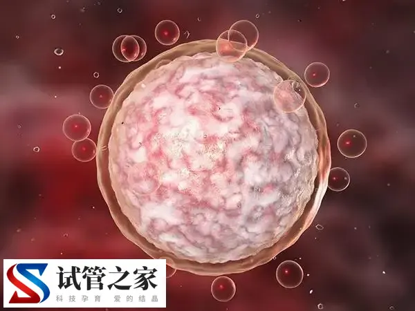 促排卵泡破裂有什么症状(图1)