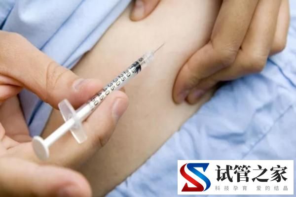 单身试管婴儿步骤有哪些?单身做试管79天能结束吗(图2) 单身试管婴儿步骤有哪些?单身做试管79天能结束吗(图2)