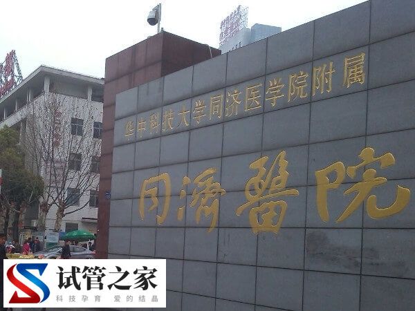 国内4所顶尖试管婴儿机构公开，附详细花费及成功率概览！(图1)