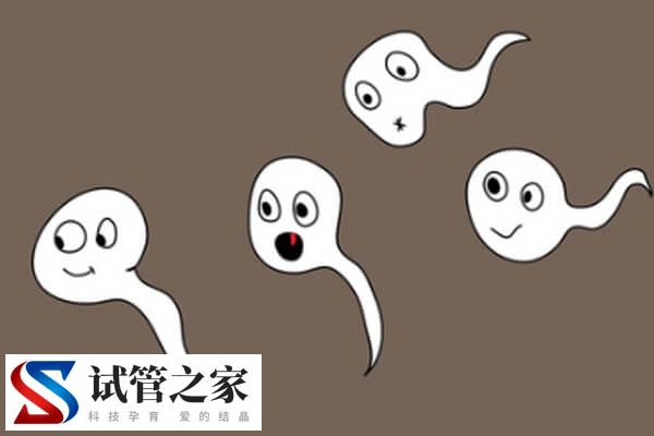 精子畸形率是为什么(图1)