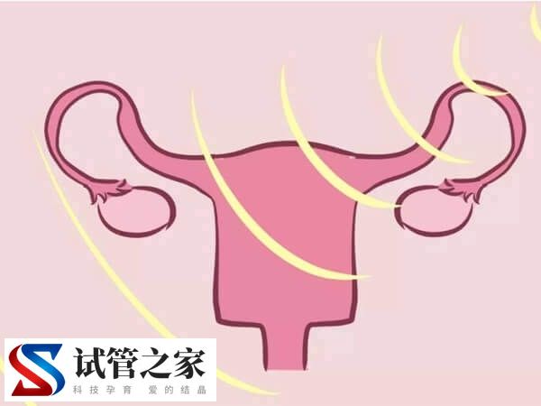 子宫内膜薄怎样增长(图1)