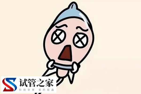 精子畸形率高98%有什么危害(图1)