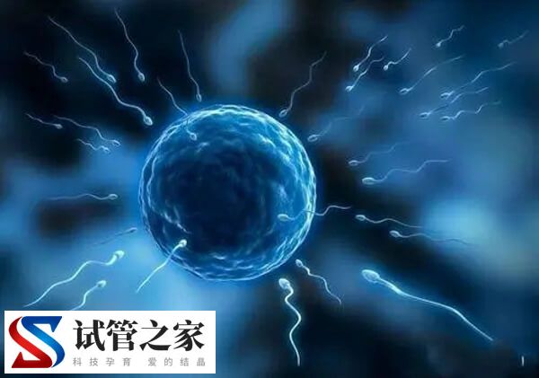 不孕不育是否只能做试管婴儿(图1)