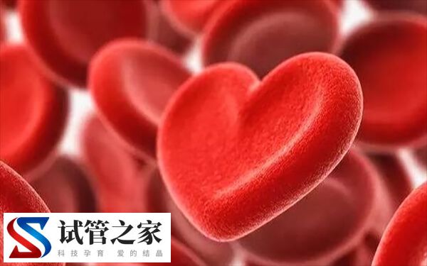 月经第3天查了性激素六项还有抽血查AMH的必要吗?(图1) 月经第3天查了性激素六项还有抽血查AMH的必要吗?(图1)