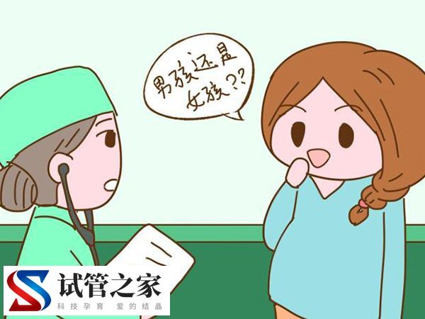 冷冻的胚胎可否看男女(图1)