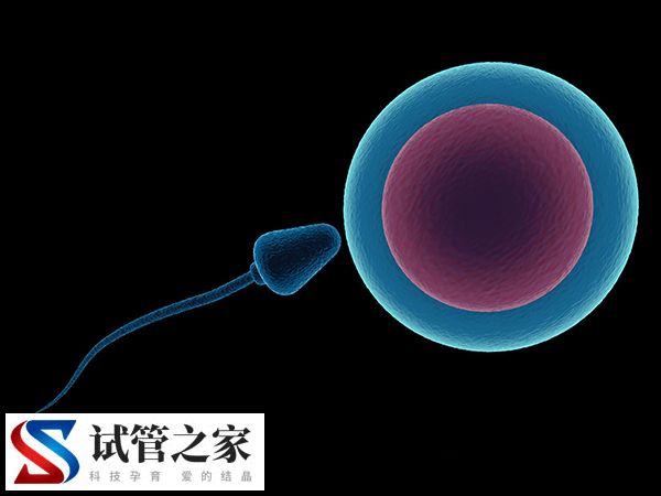 试管取精漏掉一半有无影响(图1)