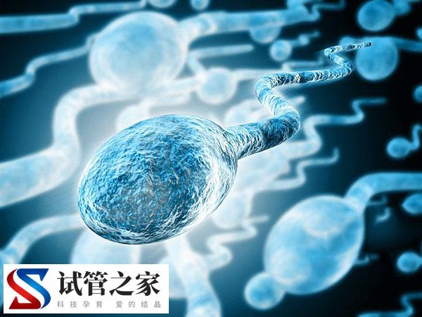冻精可否取出去另外一家医院(图1)