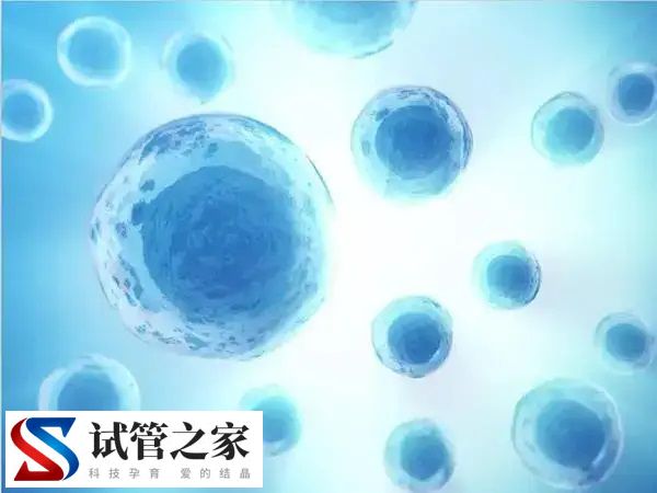 泌乳素偏高可不可以做试管婴儿(图1)