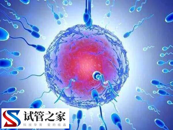 35岁从来没怀过孕做试管婴儿能成功吗？(图1)