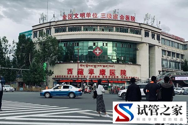 拉萨供卵机构不少，做一次三代试管生男孩费用没你想的高