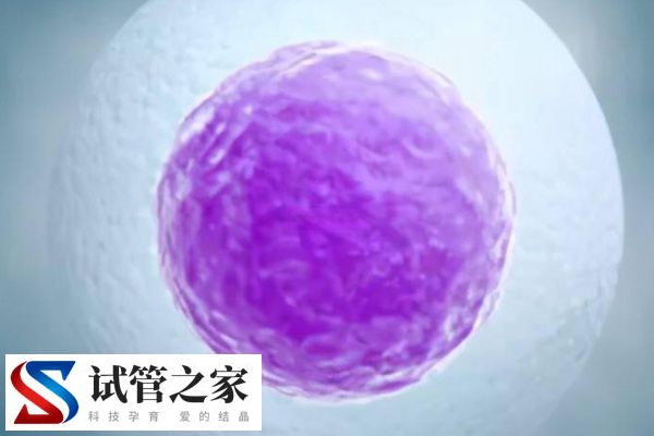 男同性恋在重庆做供卵试管生子可不可以