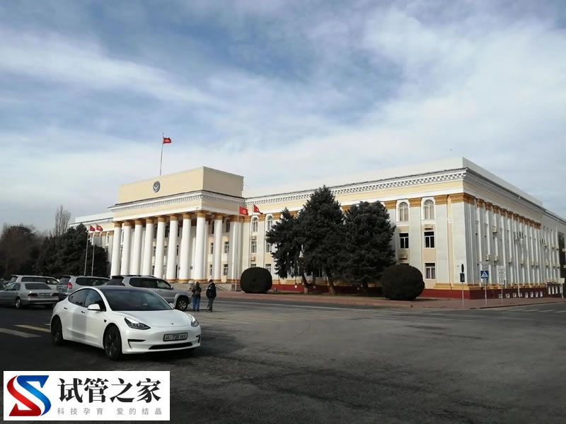 为高龄女性提供吉尔吉斯斯坦试管婴儿服务，助力生育梦想(图1)