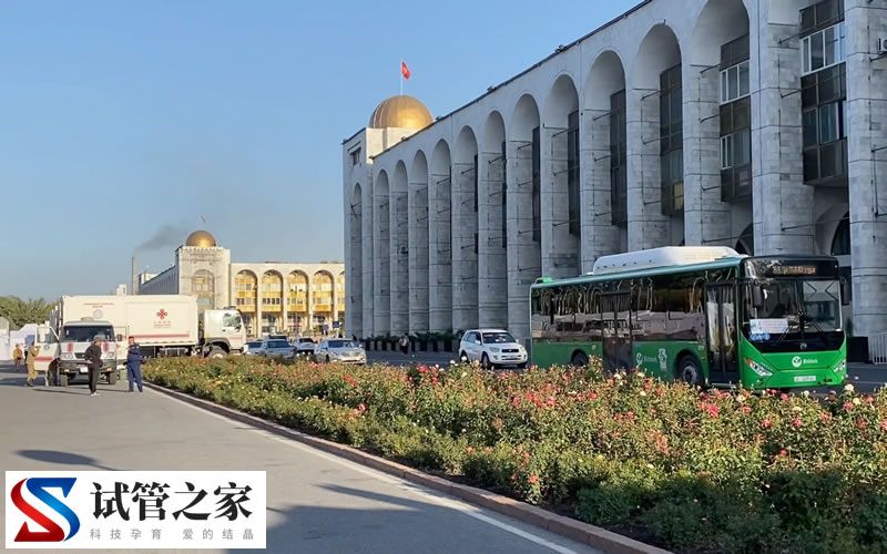 吉尔吉斯斯坦做试管婴儿费用大概多少(图1)