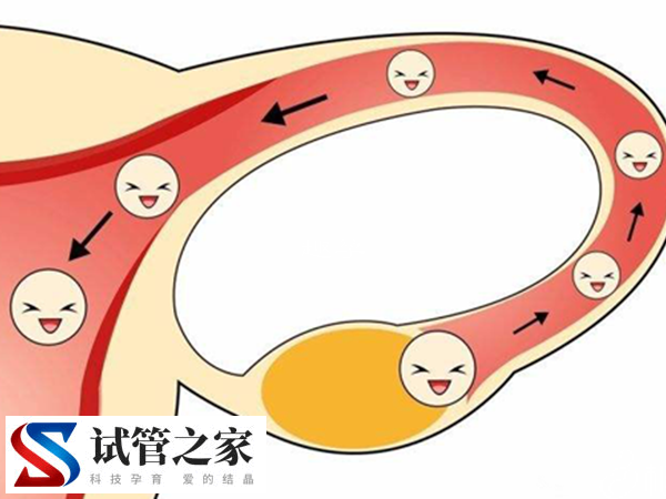 受精卵着床后母体感觉有这些，了解可知成功与否(图2)