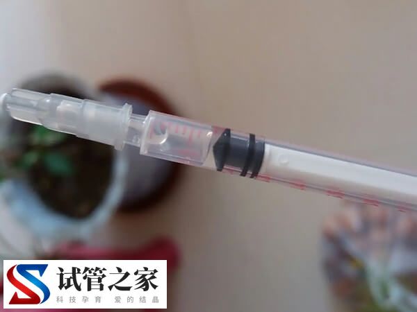 试管移植后为何打着床针(图1) 试管移植后为何打着床针(图1)