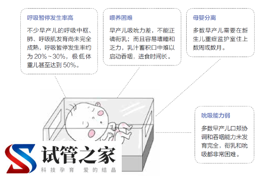 带早产宝宝回家如何做好家庭护理？