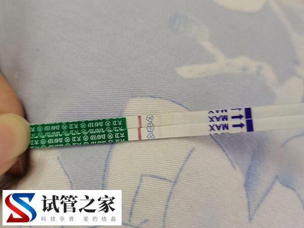 试管移植后有姨妈感怎么回事(图1)