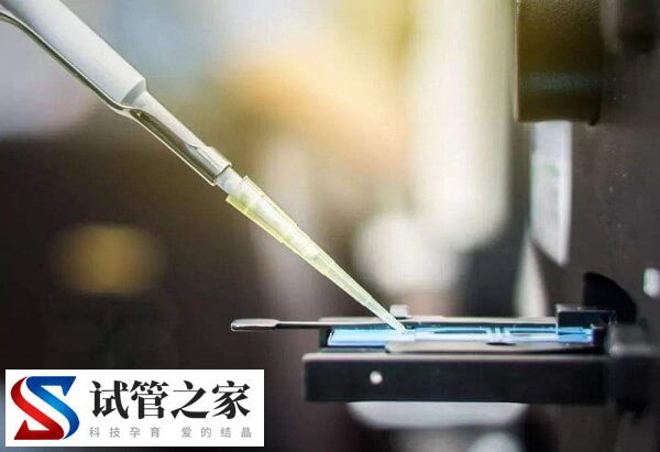 冻胚移植14天hcg300多正不正常(图2)