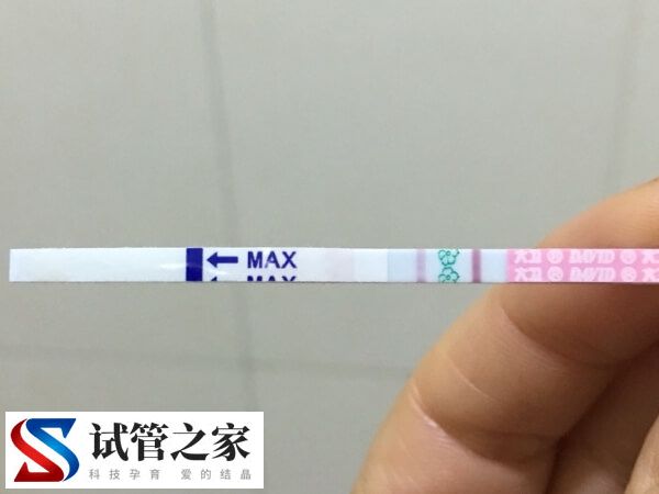 囊胚移植6天测出水印是否着床了(图1)