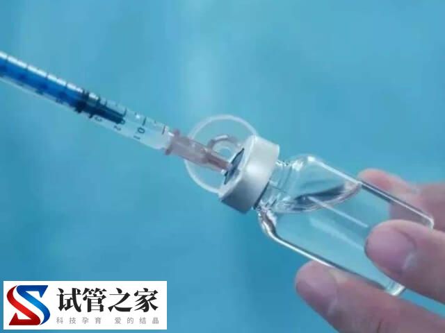 取17个卵配几个胚胎(图1)
