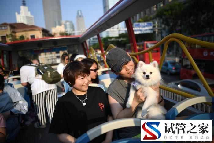 春节宠物寄养咨询火爆 宠物主人盼携宠便捷出行(图1) 春节宠物寄养咨询火爆 宠物主人盼携宠便捷出行(图1)