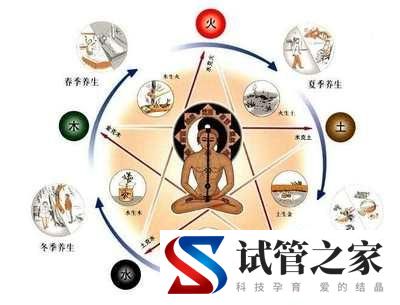 养生顺序不能错,顺应四时(图1) 养生顺序不能错,顺应四时(图1)