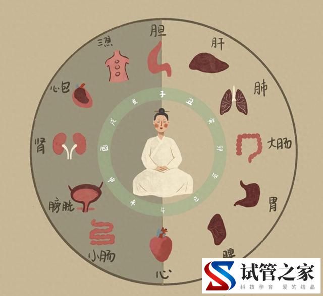 养生顺序不能错,顺应四时(图2) 养生顺序不能错,顺应四时(图2)