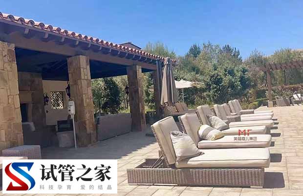 国人偏爱出国生孩子背后的动因(图2) 国人偏爱出国生孩子背后的动因(图2)