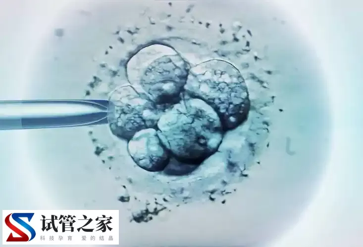 试管婴儿移植后13天突然感觉热别担心！怎么回事一文告知(图1)