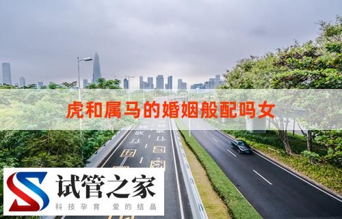 虎和属马的婚姻般配吗？