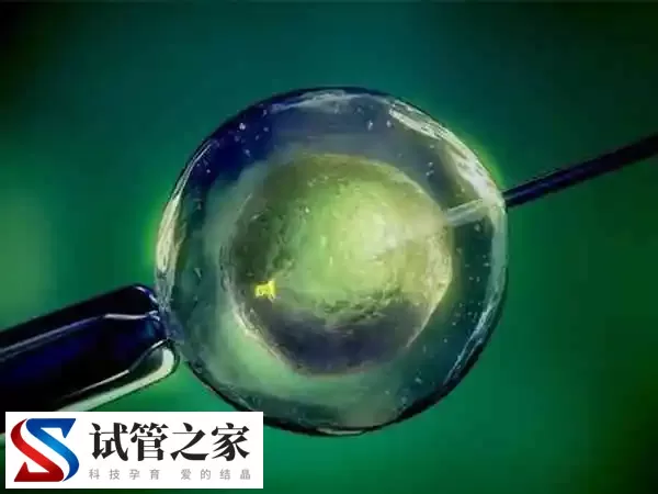 卵巢早衰能否做试管婴儿(图1)