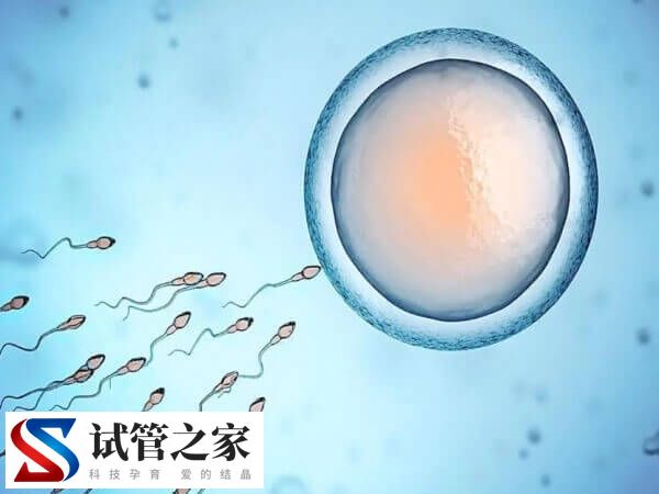 一代试管婴儿对精子的要求是什么(图1)