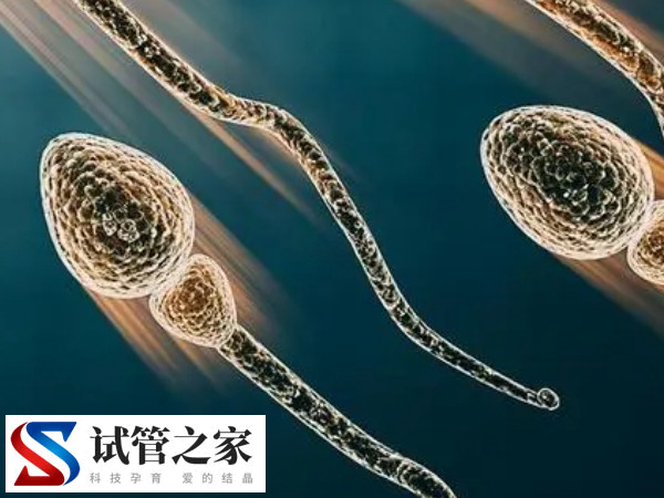 试管四次不成功离婚有无影响(图1)