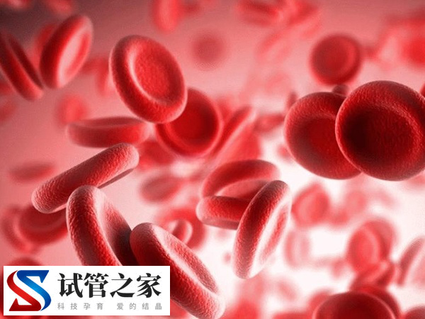 试管用别人的精可不可以知道对方的信息(图1)