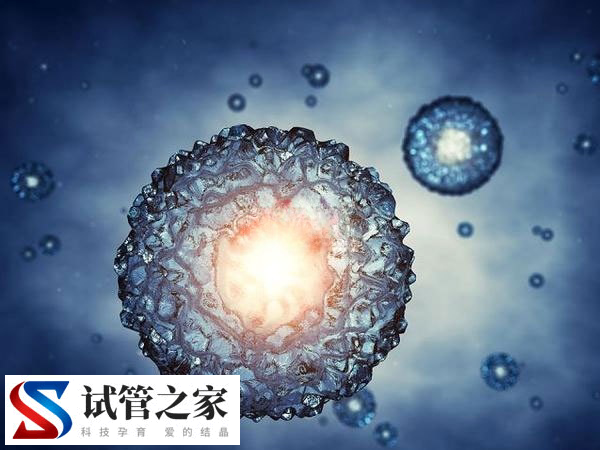 囊胚解冻后又冻回去有无损伤(图2)