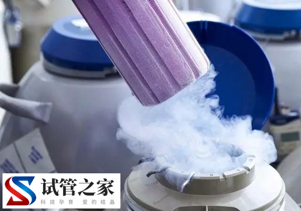 北大人民医院胚胎冷冻费用多少(图2)