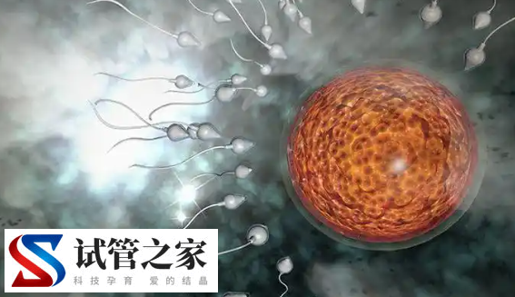 试管婴儿打促排针以后上班期间可以久坐吗?(图1)