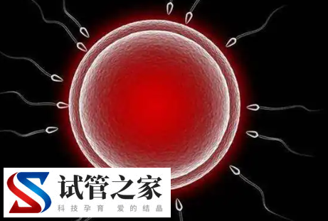 试管打完长效降调针针会导致恶心现象吗?浏览量4 评论0(图1)