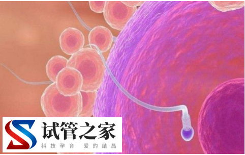 试管囊胚移植第14天hcg数值1500是成功着床了吗?(图1)