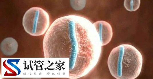 试管移植一个星期后为啥右侧腹部卧着就疼?(图1)