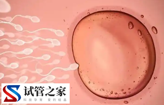试管移植后d二聚体标准数值是多少?浏览量5 评论0(图1)