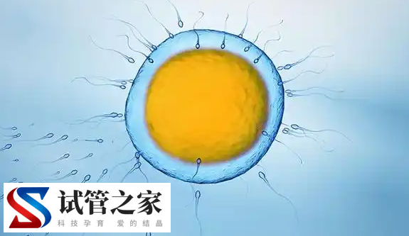 试管短方案打打促排针期间可以刮痧吗?(图1)